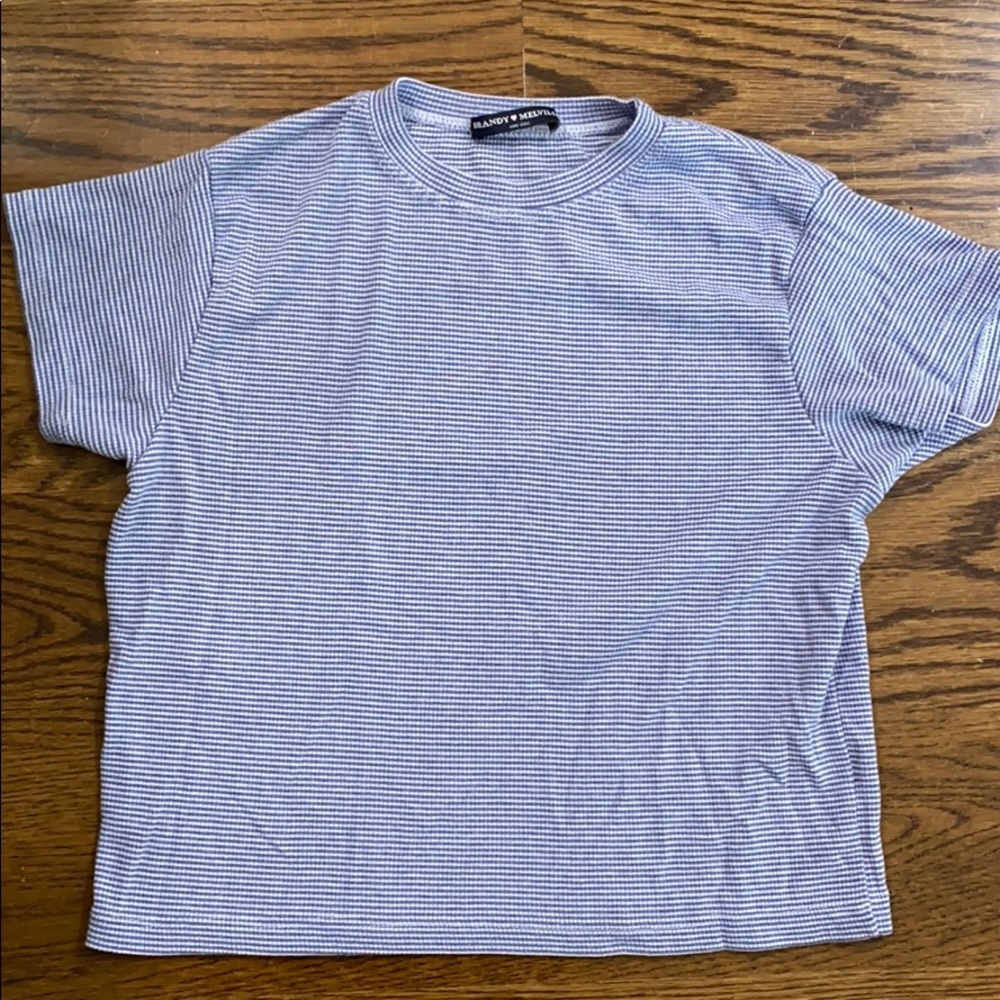 Brandy Melville Blue and White check top